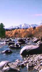 Arkansas River, Colorado, The CVD