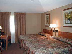 Comfort Inn, Wellington, The CVD