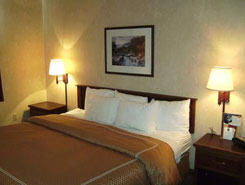 Comfort Suites, Castle Rock, Colorado, The CVD