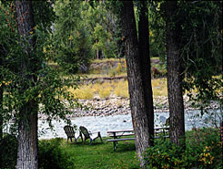 Crystal River