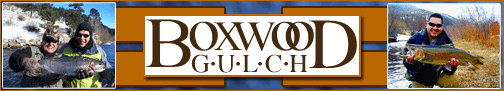 click here for info fishing in bailey, colorado