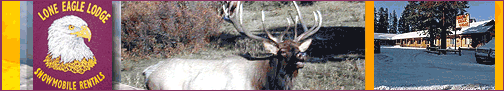 click here for lodging near rocky mtn nat'l park