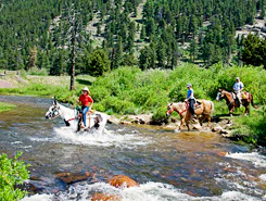 national park gateway stables u amp cowpoke corner corral estes park National Park Gateway Stables, Estes Park 245x185