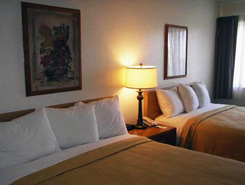 Guest Beds, Quality Inn & Suites - DIA, Denver, Colorado, The CVD