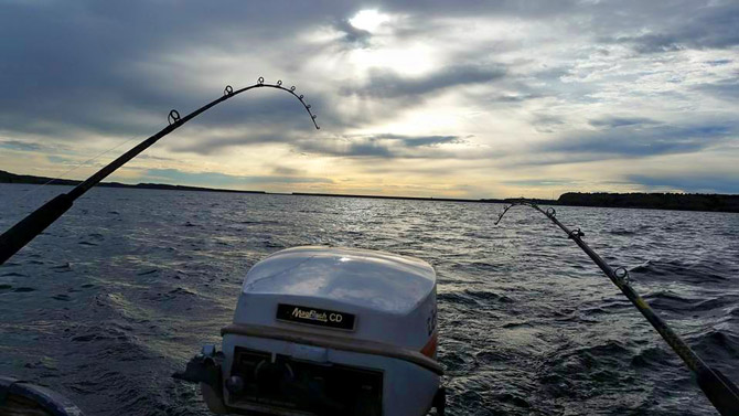 Lake Pueblo State Park, Colorado