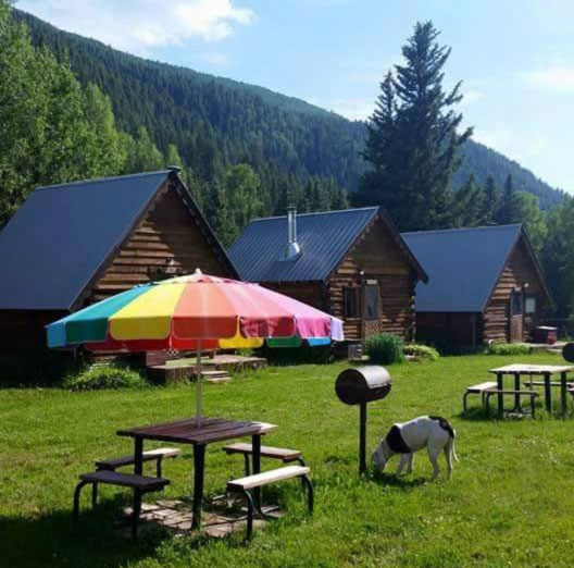 Green Snow Oasis Cabins Along Dolores River Dolores Area